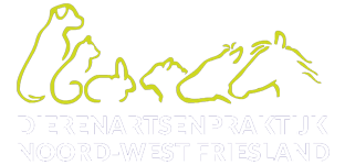 Logo van DAP Noord West Friesland