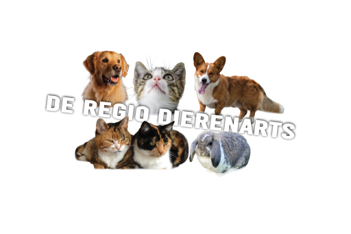 Logo van De Regio Dierenarts