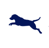 Logo van Den Driesprong, Praktijk voor Gezelschapsdieren