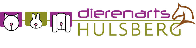 Logo van Dierenarts Hulsberg