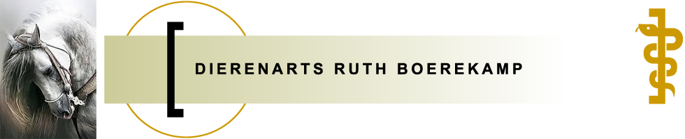 Logo van Dierenarts Ruth Boerekamp