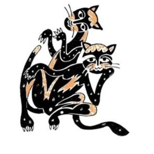 Logo van Dierenartsenpraktijk Alkmaar Noord
