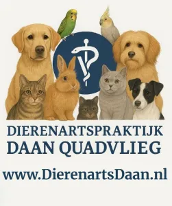 Logo van Dierenartspraktijk Daan Quadvlieg