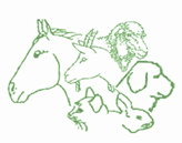 Logo van Dierenartspraktijk Haastrecht