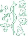 Logo van Dierenartspraktijk Hogendoor