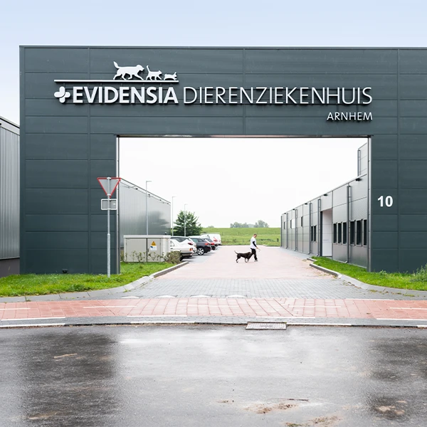 Logo van Evidensia Dierenziekenhuis Arnhem