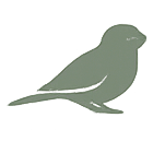 Vogel